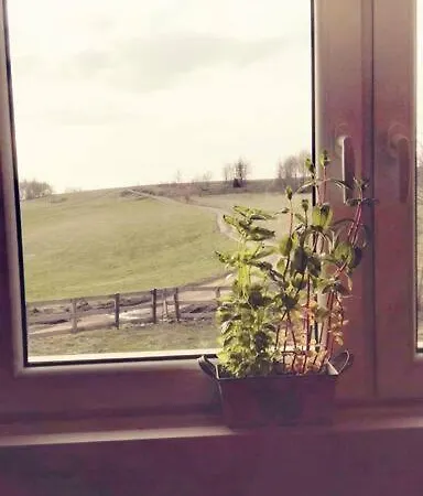 Dziewiecsil Blisko Ziemi Gory Stolowe Duszniki Zdroj Ferienhaus