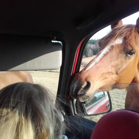 Ferienhaus Dziewiecsil Blisko Ziemi Gory Stolowe Duszniki Zdroj