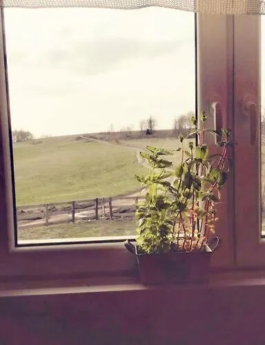 Dziewiecsil Blisko Ziemi Gory Stolowe Duszniki Zdroj 펜션