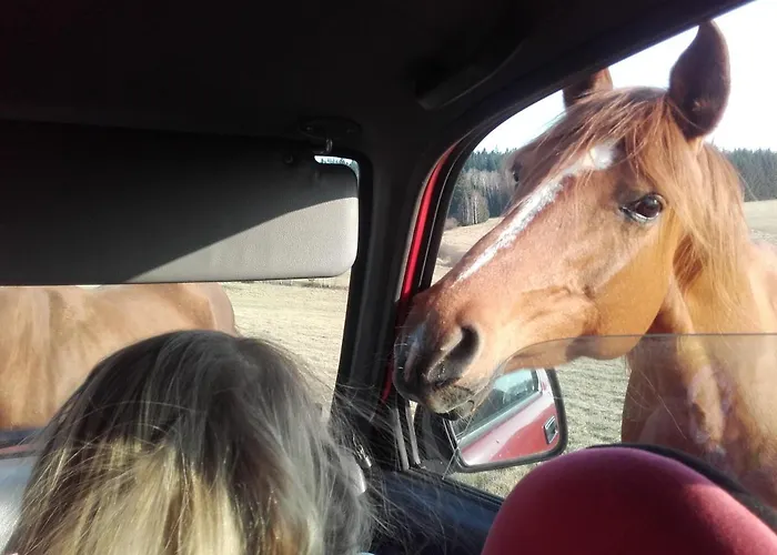 펜션 Dziewiecsil Blisko Ziemi Gory Stolowe Duszniki Zdroj