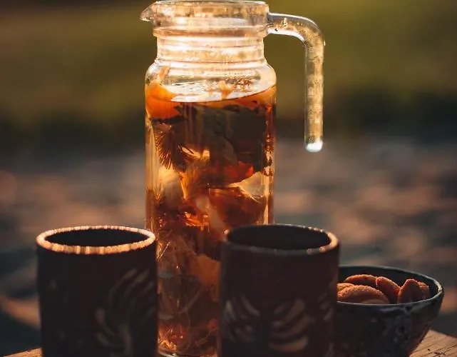 Dziewiecsil Blisko Ziemi Gory Stolowe Duszniki Zdroj Feriehus Lewin Klodzki